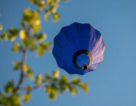 Blume, Natur, Draußen, Blumentapete