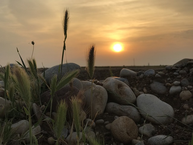 Free Sunset Nature photo and picture