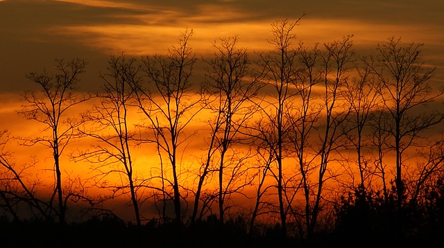 Free The Dawn Family Sunset photo and picture
