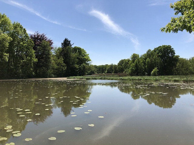 Gewässer, Baum, Reflexion, See, Natur