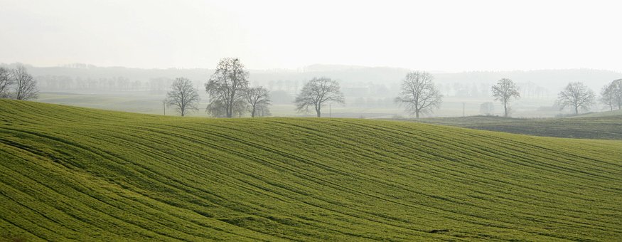 Natur, Landskab, Mark, Fog, Polen