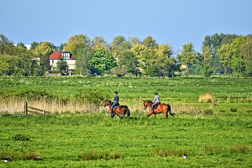 Equitación belice Equitación belice