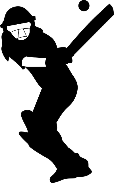 Free silhouette cricket batting illustration