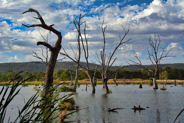 Free Lake Lagoon photo and picture
