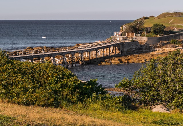 Free Water Bridge photo and picture