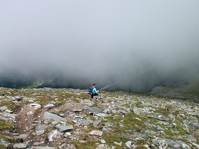 Free Mountains Alps photo and picture