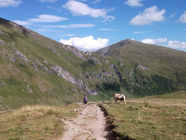 Free Mountains Alps photo and picture