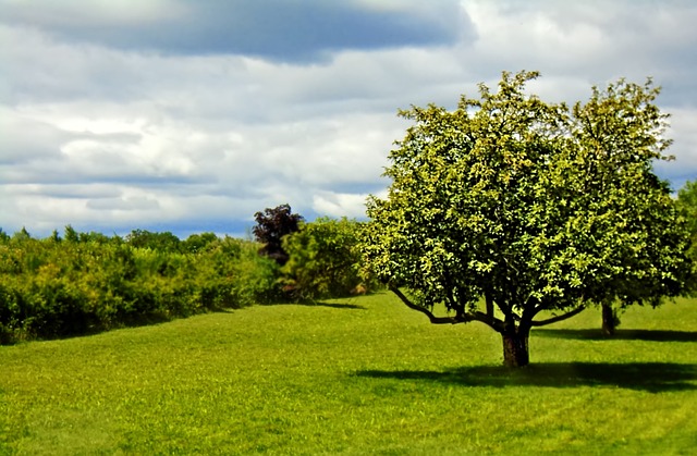 Free Landscape Scene photo and picture