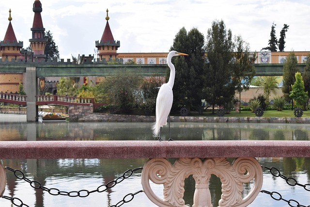 Free Bird River photo and picture