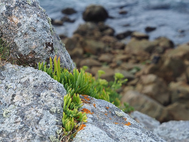 Free Stones Water photo and picture