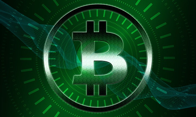 Bitcoin, Betalingsmiddel, Forretning