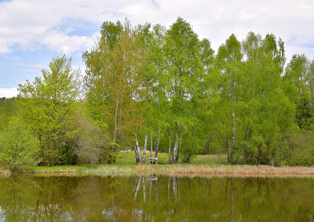 Free Landscape Pond photo and picture