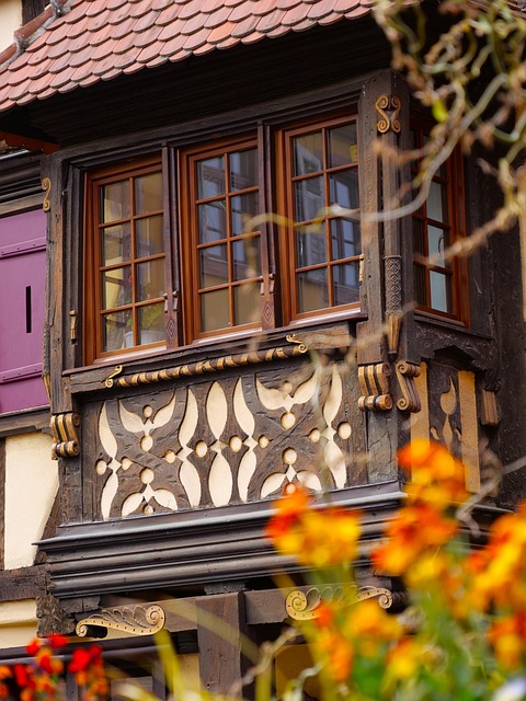 Free Stud Alsace photo and picture