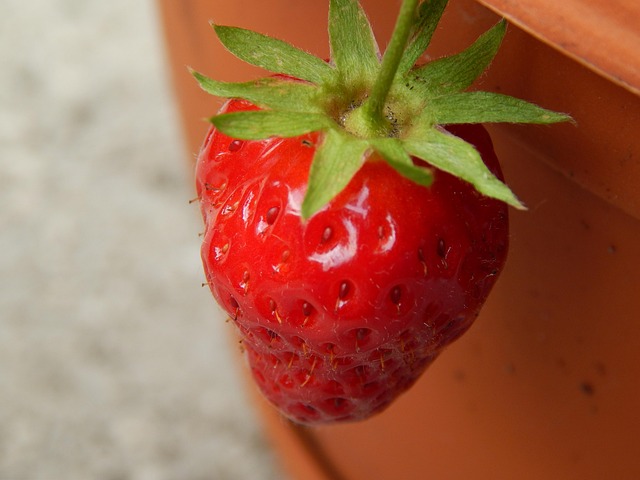 Free Strawberry Sweet photo and picture