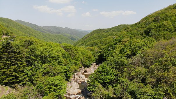Natură, Valea, Jirisan, Munte, Primăvară