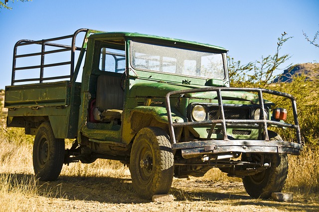 Free Land Cruiser Toyota photo and picture