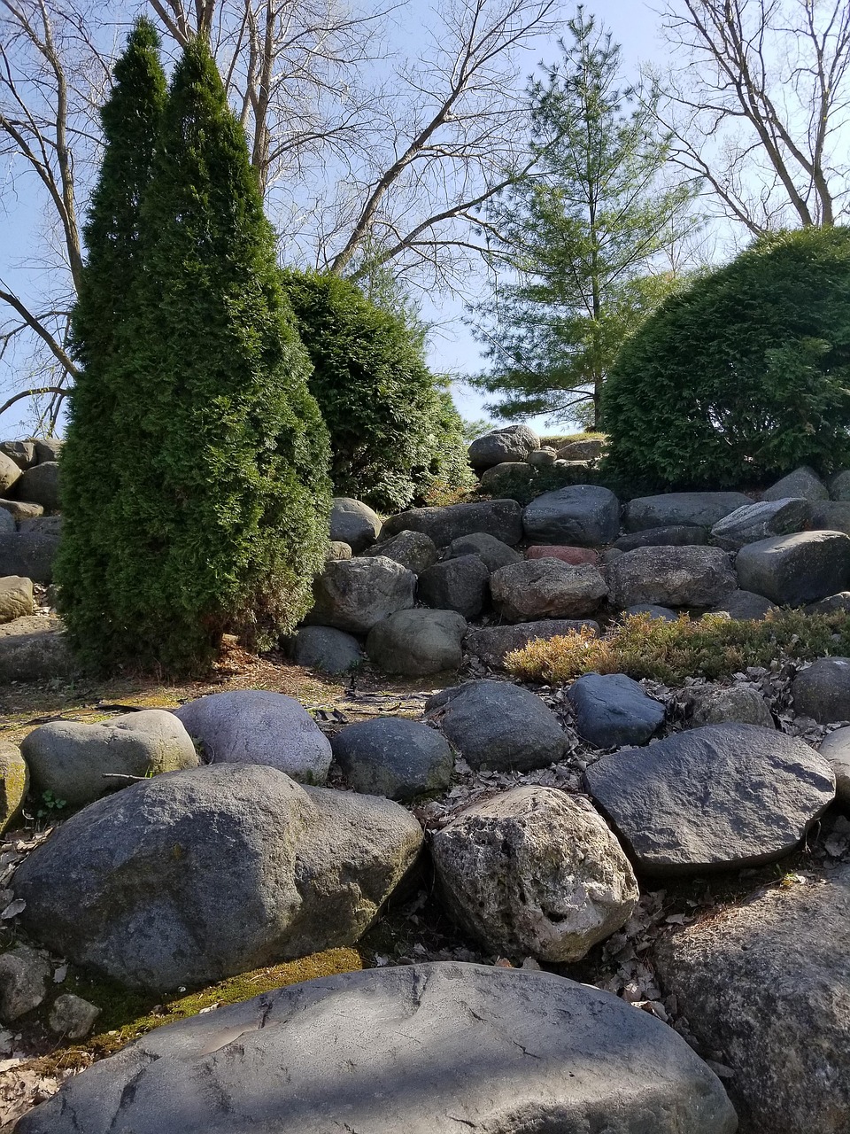 Background Park Nature - Free photo on Pixabay