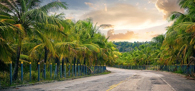 Free Landscape Travel photo and picture