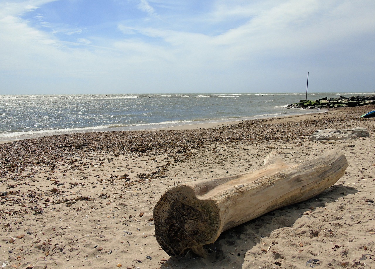 A piece of driftwood lies on the beach, surrounded by the sounds and smells of the ocean.