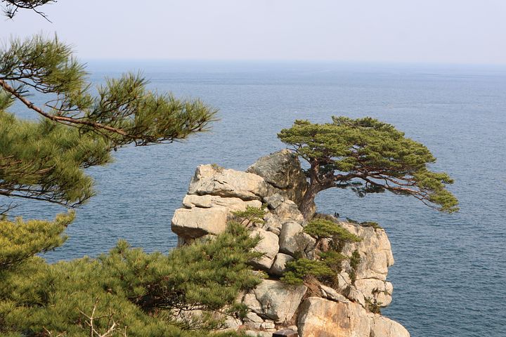 4 + 무료 해송 & 중문 이미지