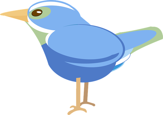 Free graphic nature bird vector