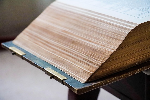 Bible, family bible, christian and holy — photo by digitlchic
