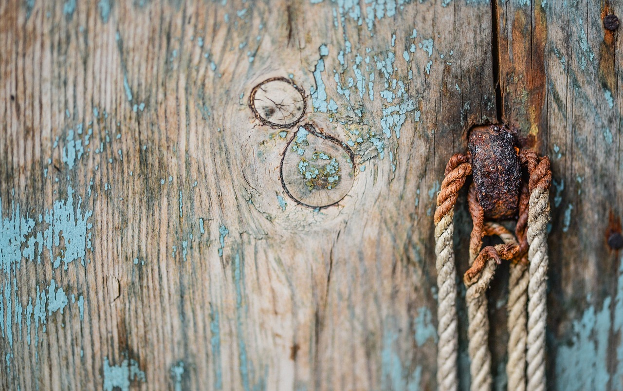 Background - free online jigsaw puzzle photo