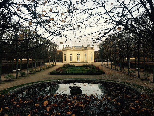 Free France Paris photo and picture