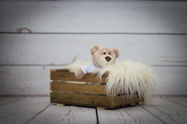 Free Teddy Cash Register photo and picture