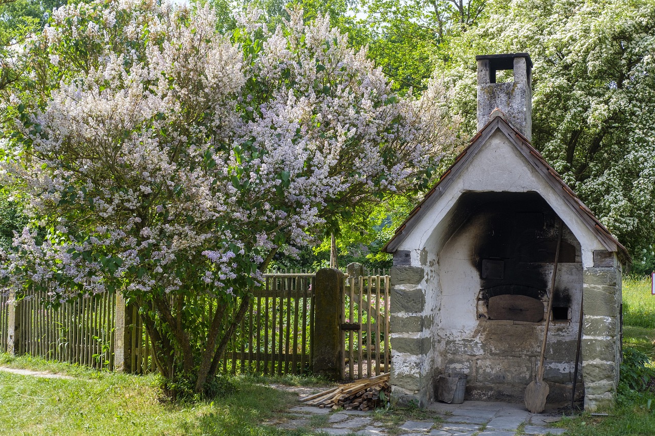 oven, oven baking, wood stove, stone oven, bread oven, baker, bakery, craft, historical, old