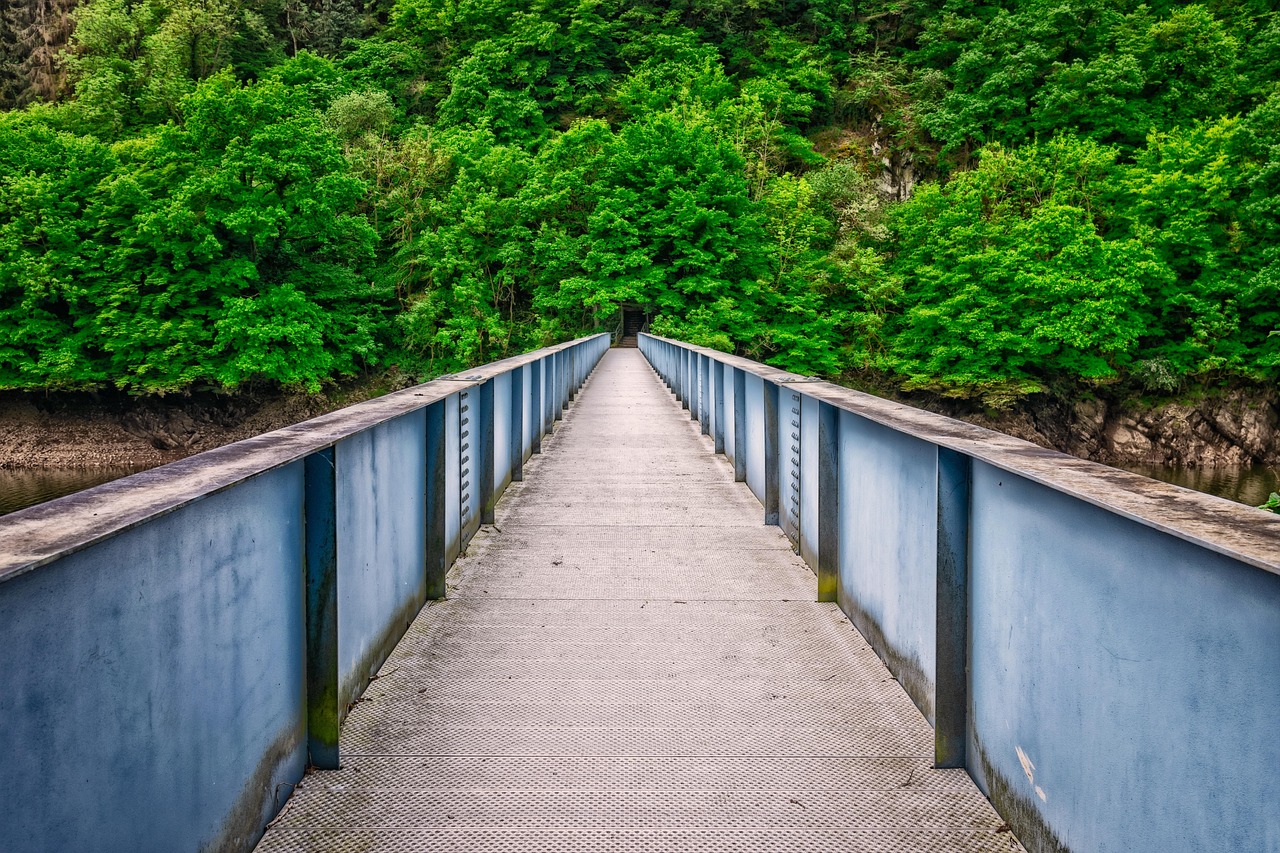 Bridge - free online jigsaw puzzle photo