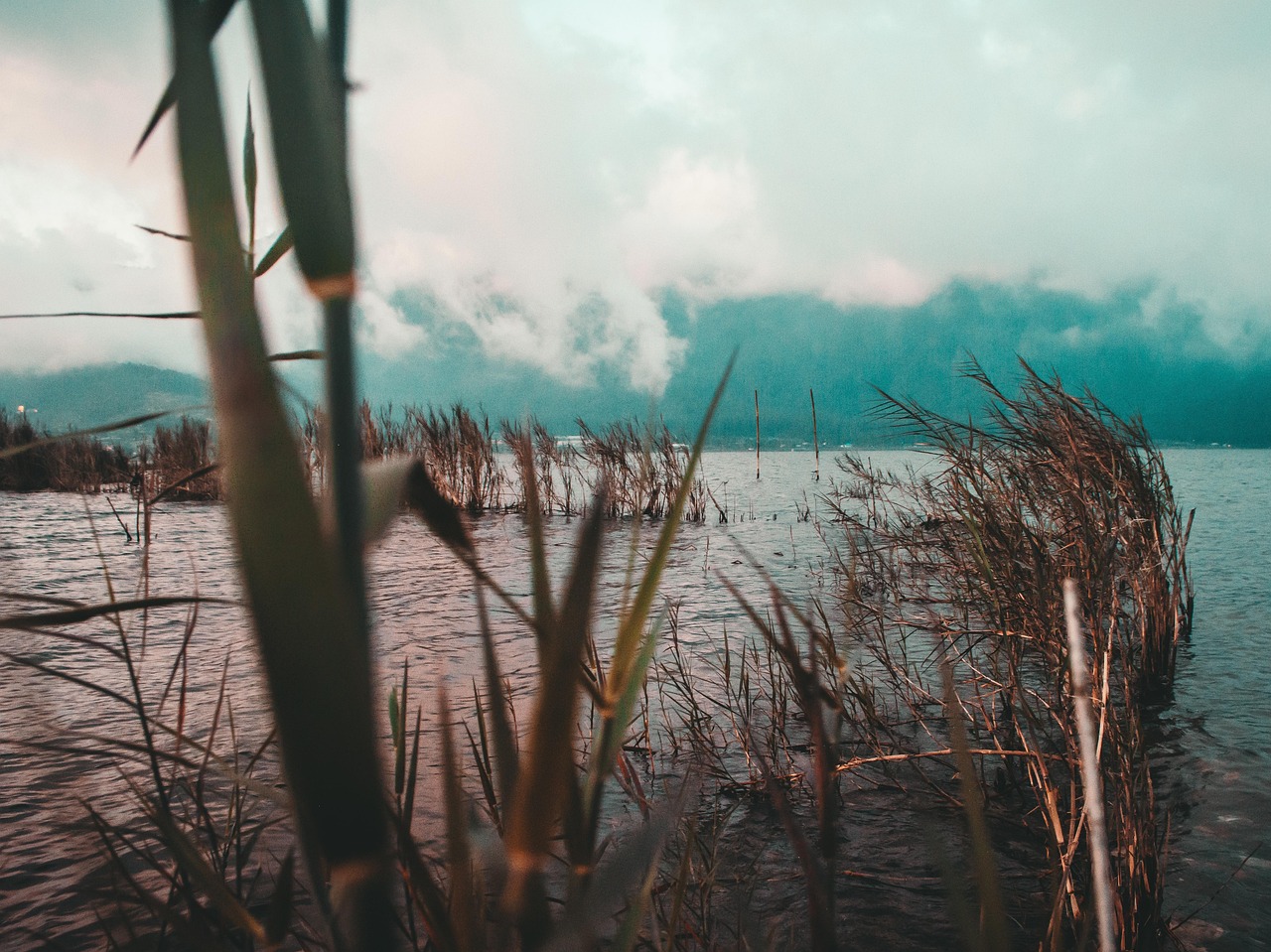 Bedugul - free online jigsaw puzzle photo