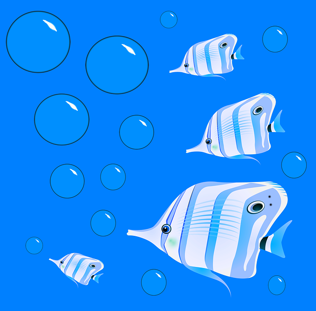 Fische, Schule, Blasen, Unterwasser