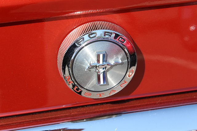 Free Mustang Ford photo and picture