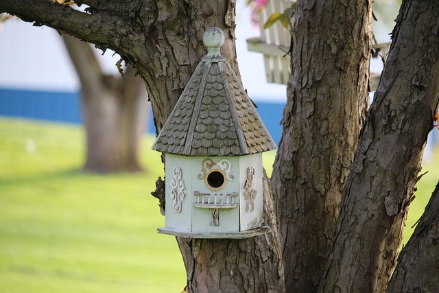 Free Birdhouse Birds photo and picture