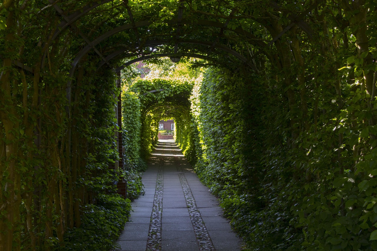 Passage - free online jigsaw puzzle photo