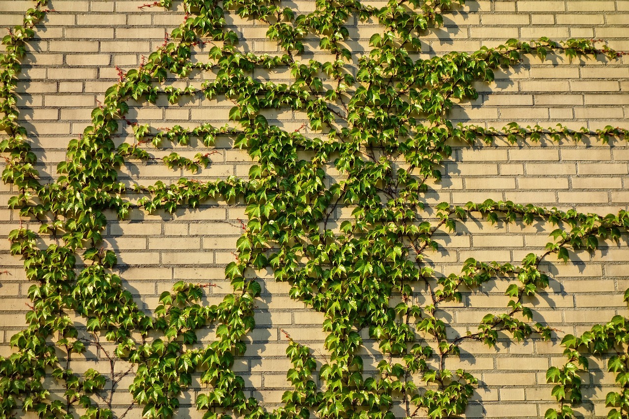 Brick Wall - free online jigsaw puzzle photo