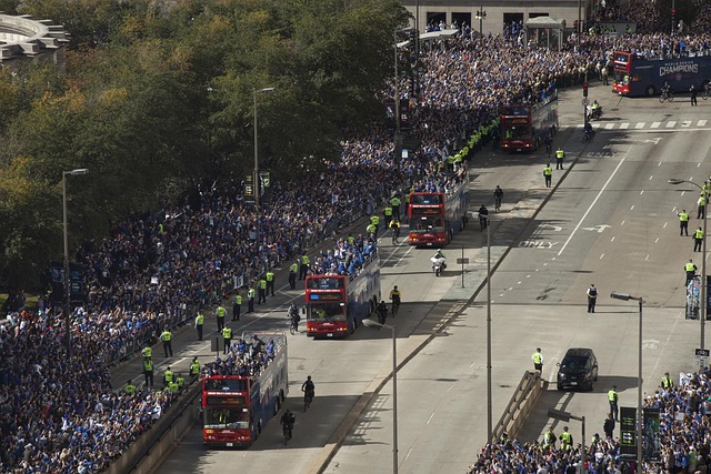 Free Chicago Cubs photo and picture