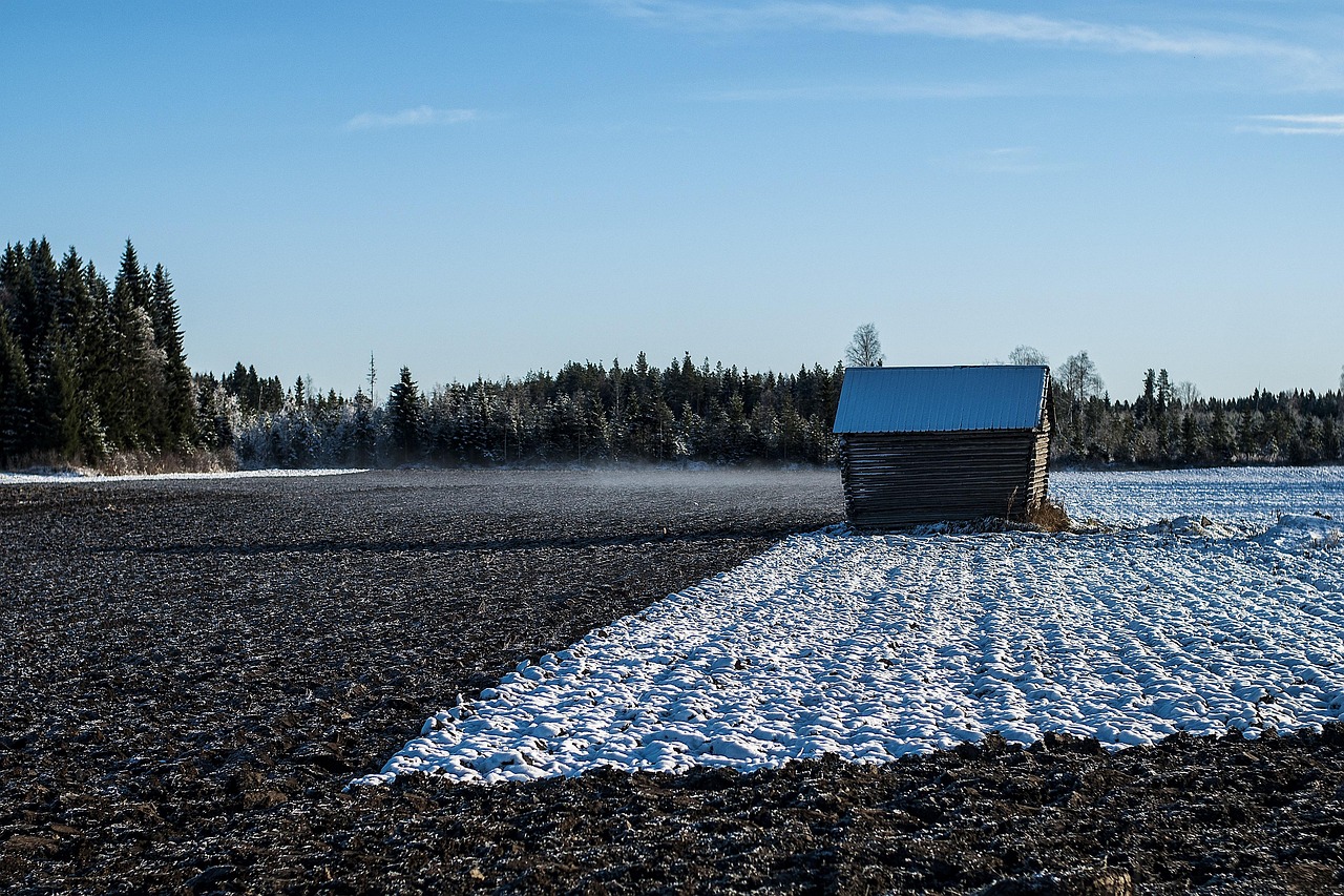 Barn - free online jigsaw puzzle photo