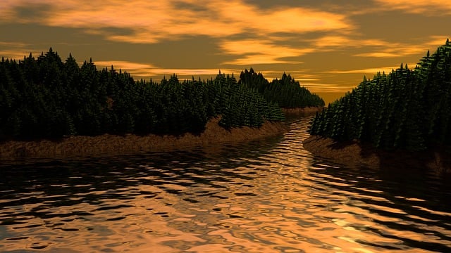 Free sunset landscape pine illustration