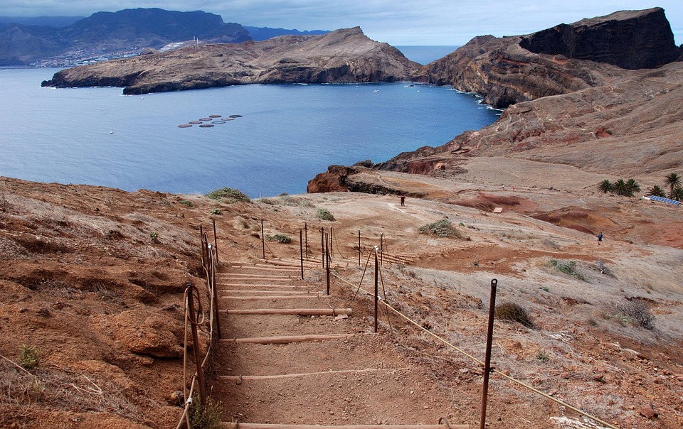 Secrets of the Laurisilva: Madeira’s Enchanted Forests Await