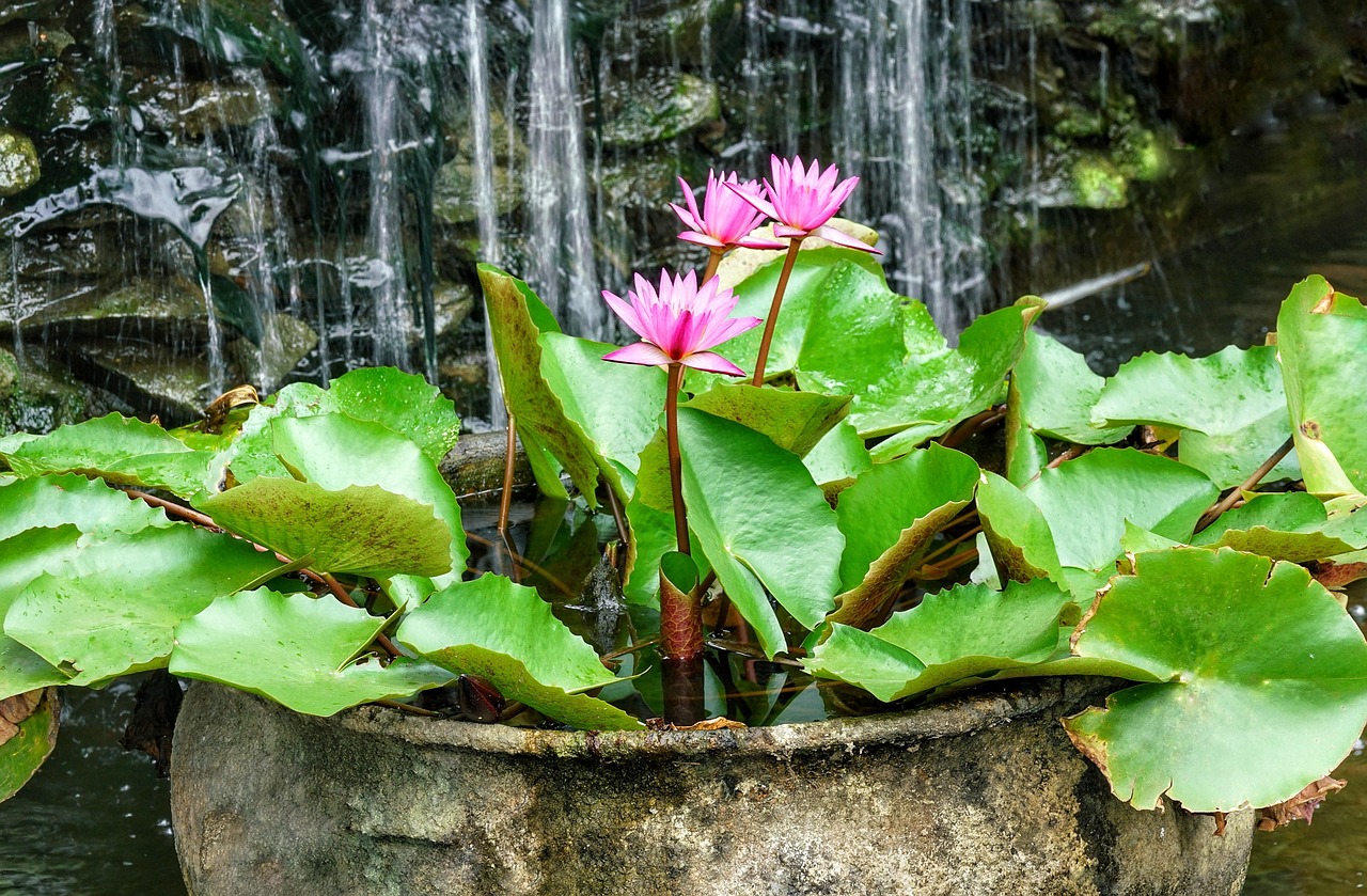 Waterfall - free online jigsaw puzzle photo