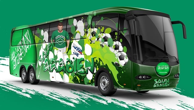 Fußballweltmeisterschaft 2018, Fußball