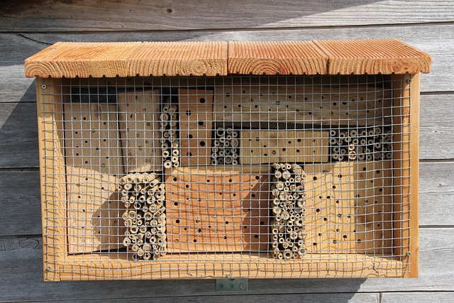 Free Insect Hotel Mason Bee photo and picture