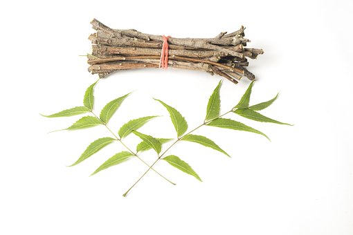 Ayurveda, Ayurveda Urter, Skjønnhet