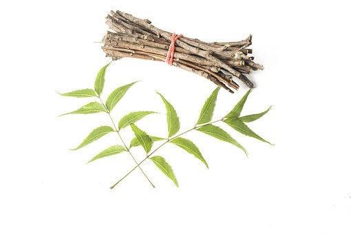 Ayurveda, Ayurveda Urter, Skjønnhet