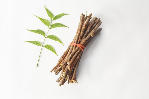 Ayurveda, Ayurveda Urter, Skjønnhet