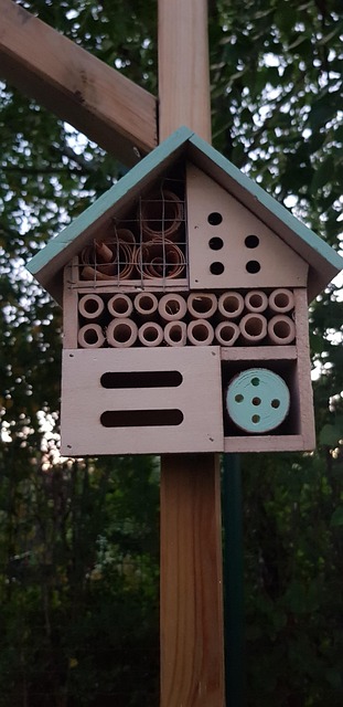 Cottage Insect Cottage Maison Pour Les Insectes - Photo gratuite sur Pixabay - Pixabay