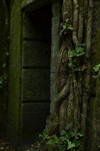 Free Nature Ruins photo and picture