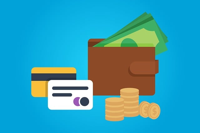 Free payment money wallet illustration